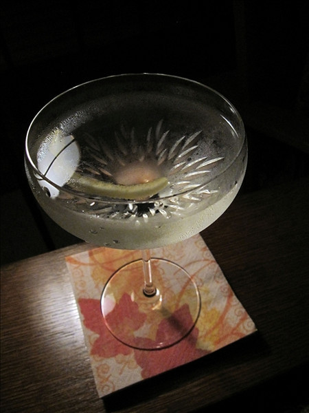Vesper Cocktail, photo © 2009 Douglas M. Ford. All rights reserved.