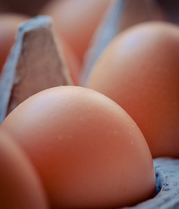 Eggs (detail), photo © 2012 Douglas M. Ford. All rights reserved.