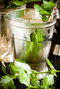 The Bourbon Mint Julep, photo © 2014 Douglas M. Ford. All rights reserved.