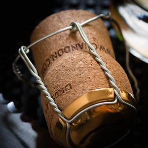 Champagne cork, photo © 2014 Douglas M. Ford. All rights reserved.